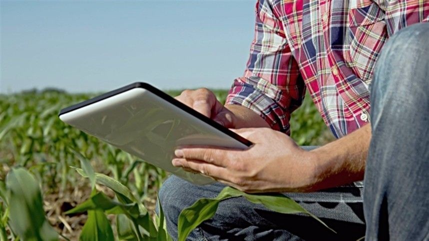 Empresa de Curitiba anuncia novidade na área de receituários