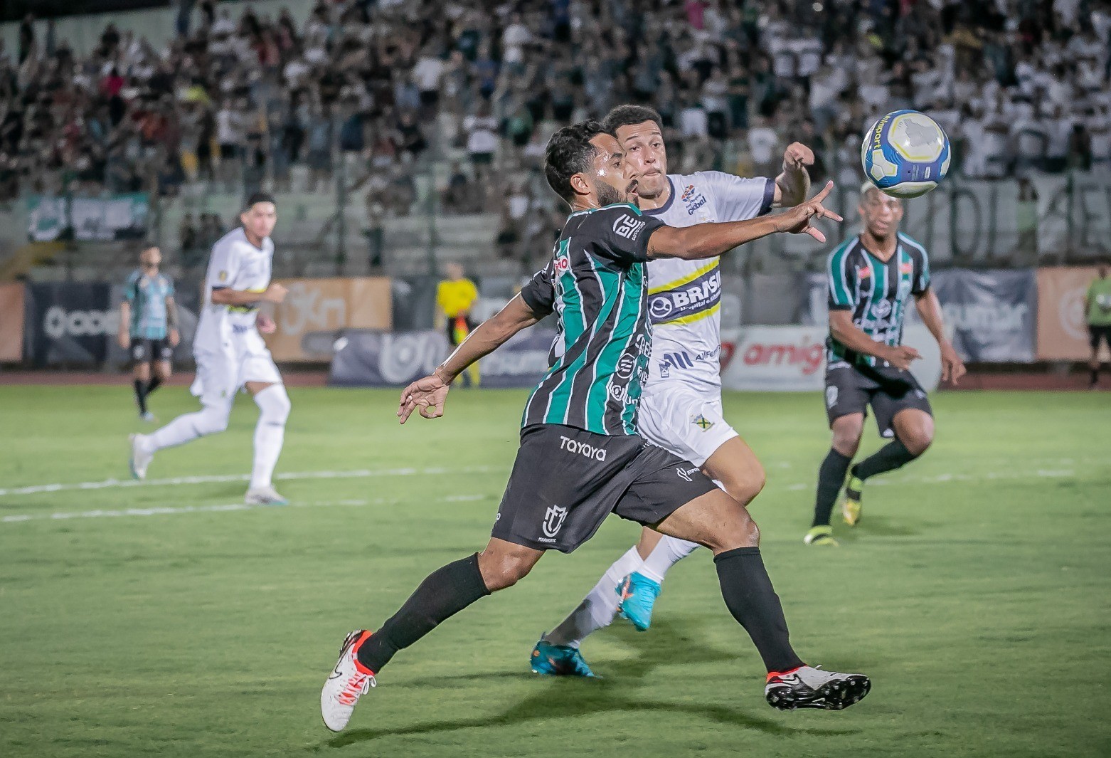 Casa de aposta revela o campeonato mais apostado no Brasil