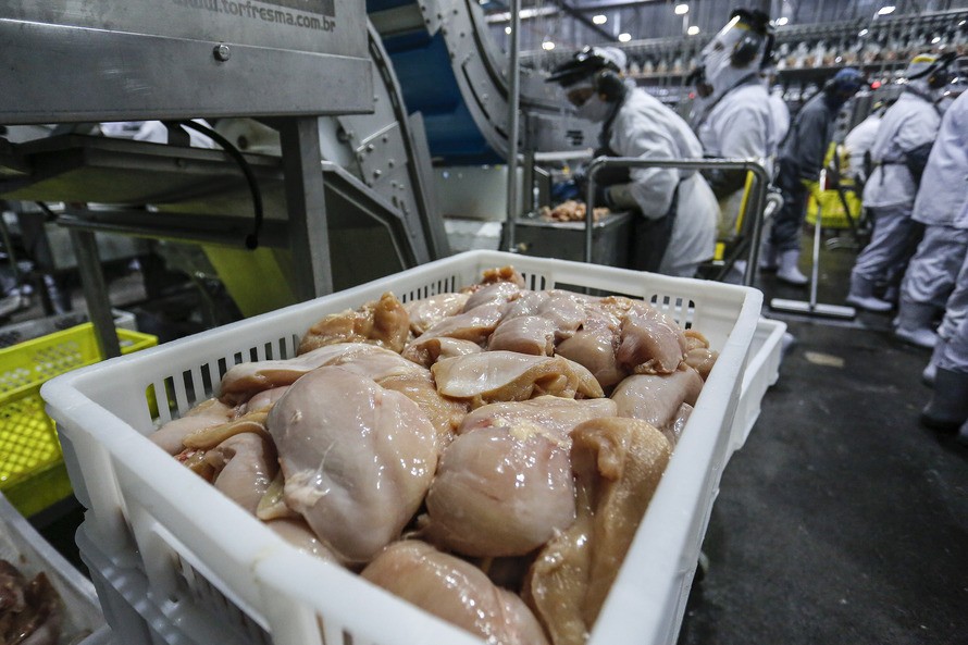 Exportações de carne de frango crescem 24,2% em outubro