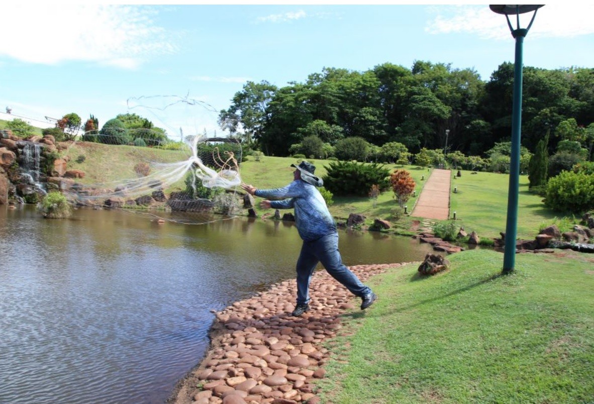 Quase 200 peixes invasores são retirados do lago do Parque do Japão