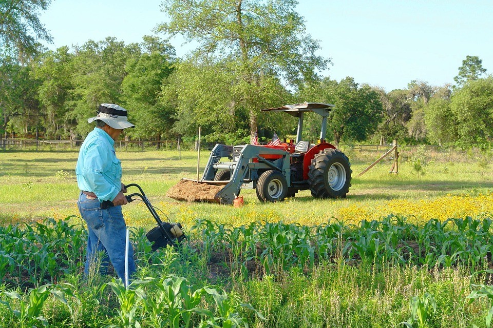 Dia do Agricultor: Agronegócio brasileiro se destaca nos pilares da economia nacional