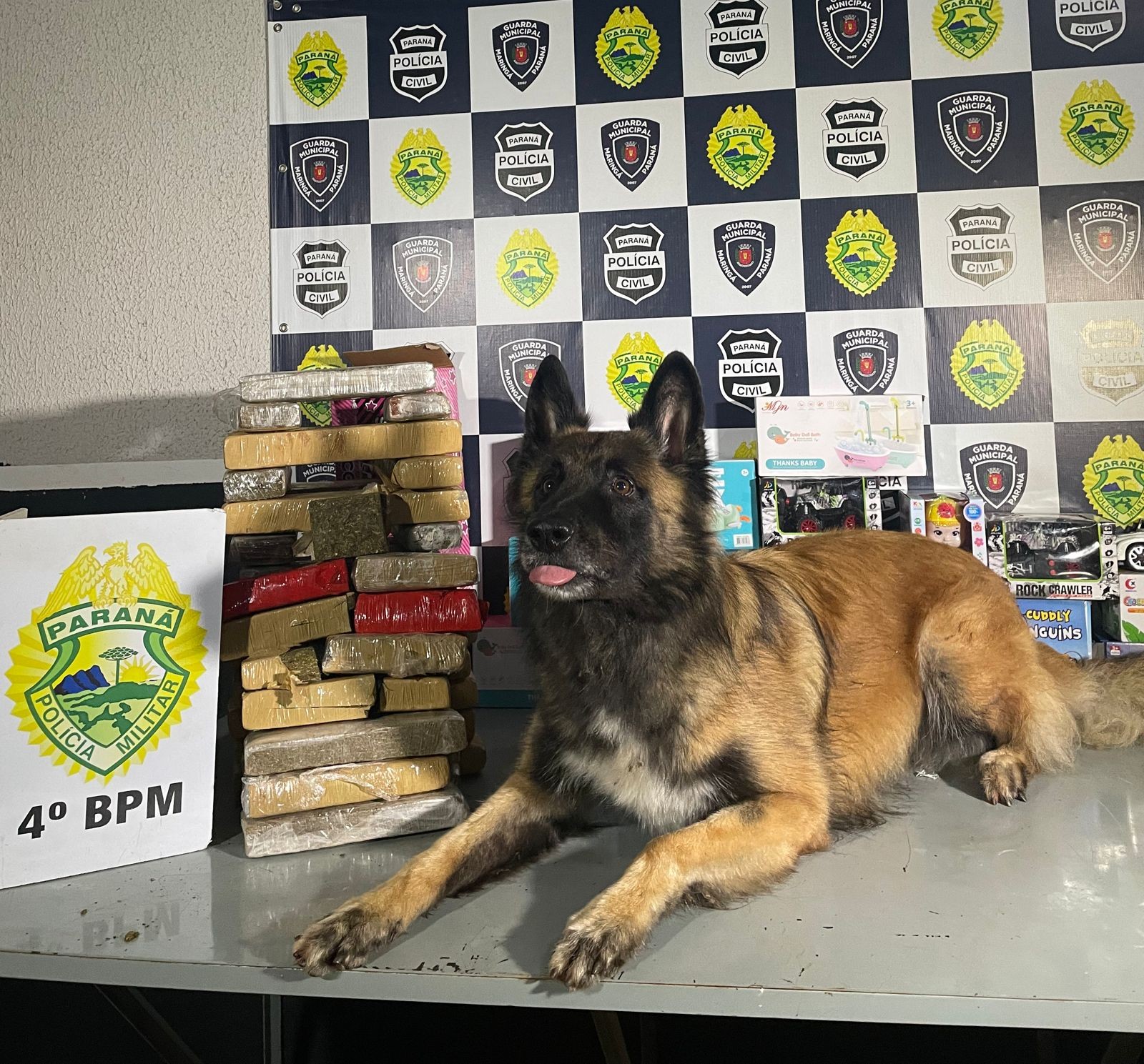 Mulher é presa com 24kg de maconha em ônibus interestadual