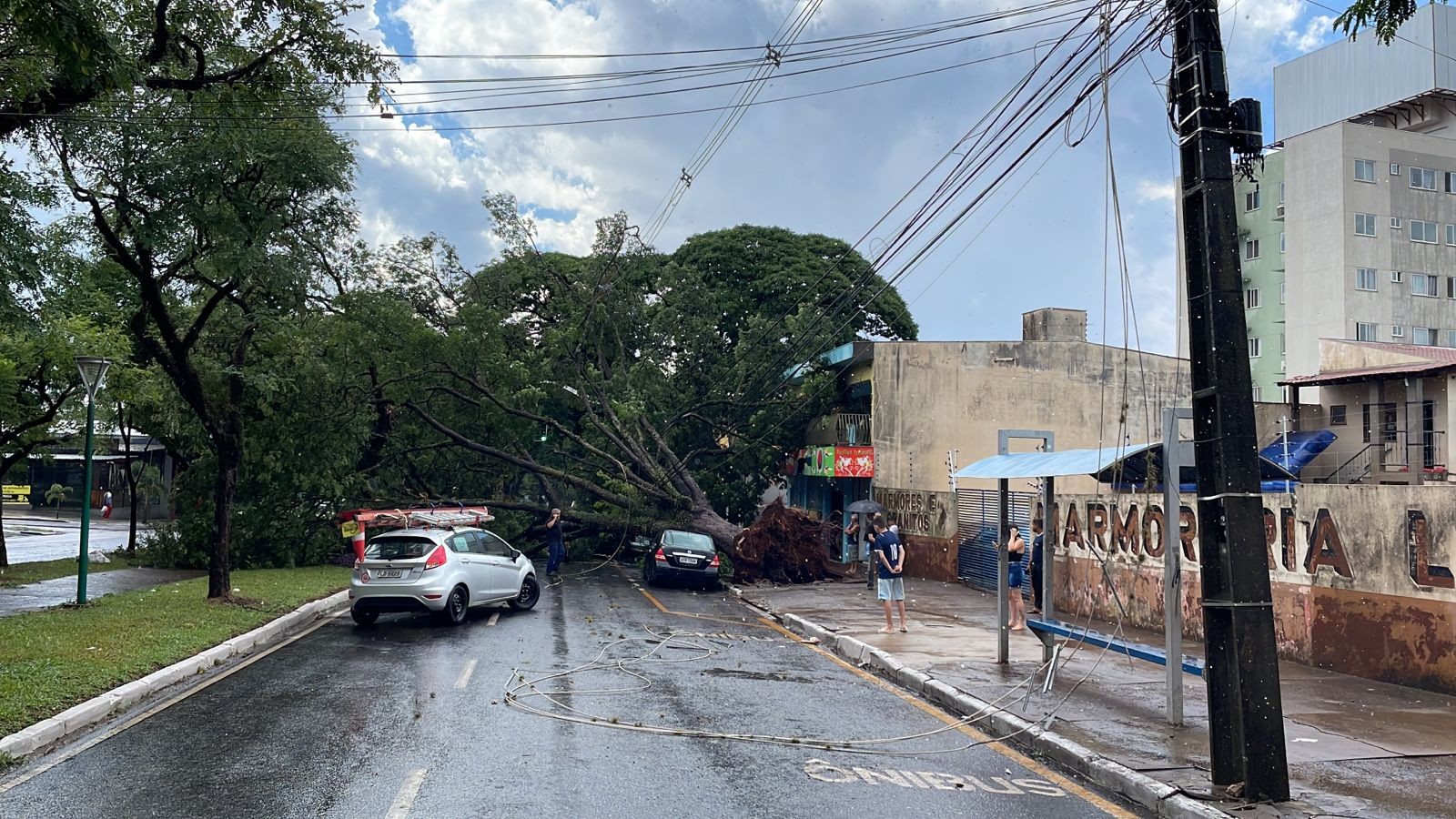 Chuva derruba árvores e deixa sete mil imóveis sem luz em Maringá
