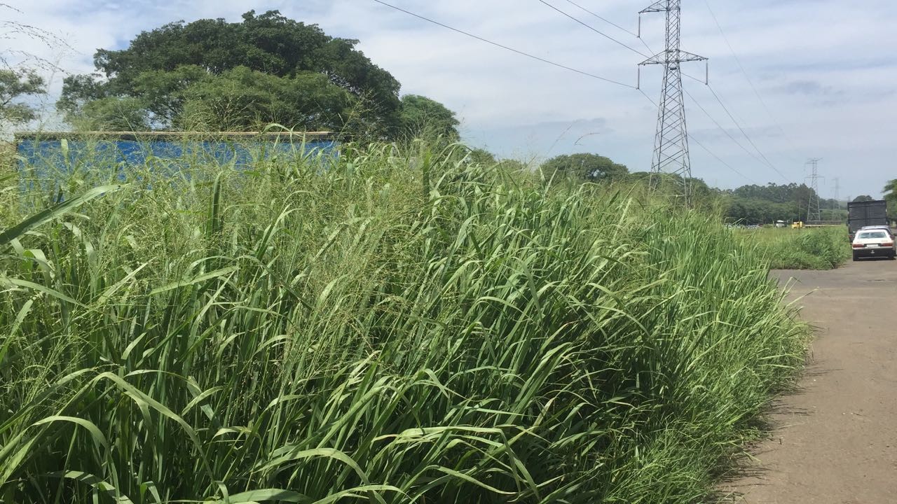 Empresários se queixam da falta de manutenção