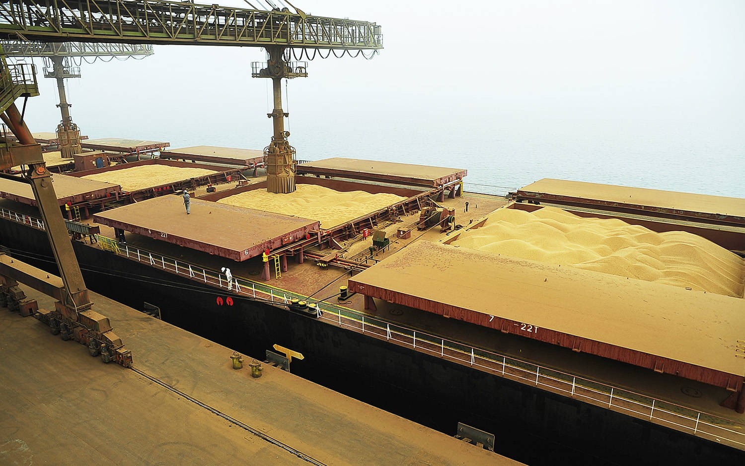 Avanço da exportação destravou negociações da soja