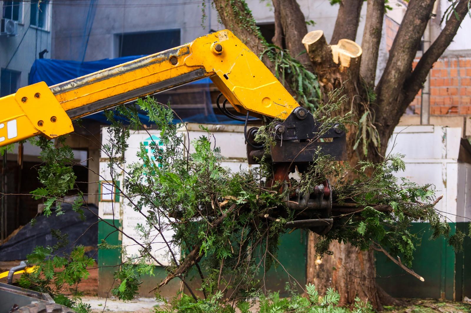 Como preparativo para o Natal, Seinfra inicia operação no centro