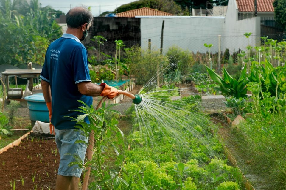Nova horta comunitária deve beneficiar 58 famílias em Maringá