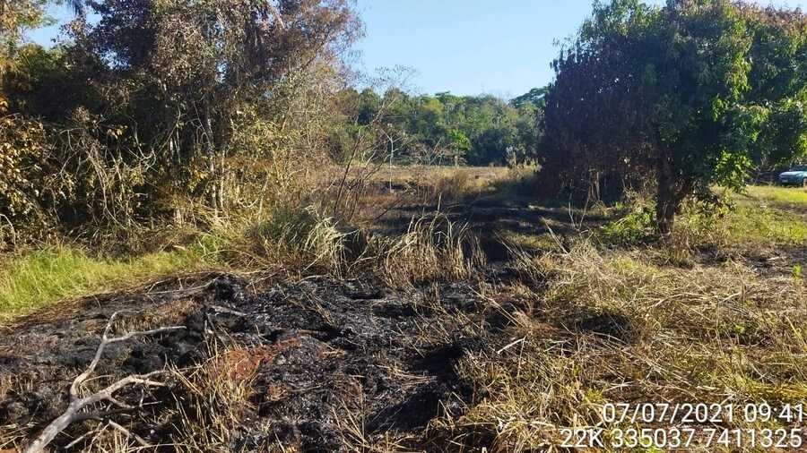 Dono de sítio é multado em R$ 30 mil por destruir vegetação nativa na região
