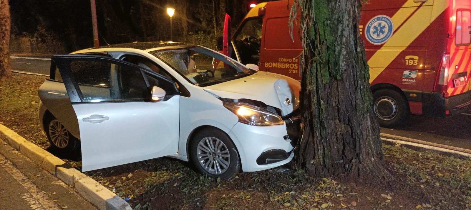 Motorista perde controle da direção e bate contra árvore na avenida JK, em Maringá