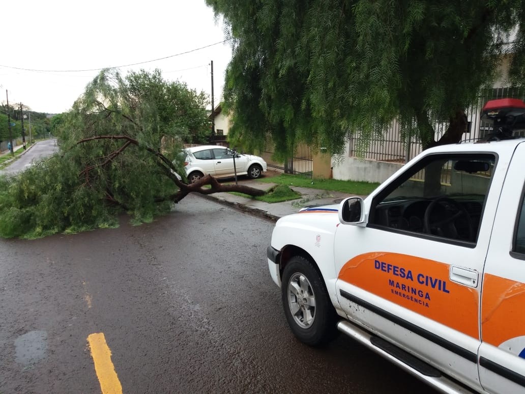 Chuva provoca estragos em Maringá e na região