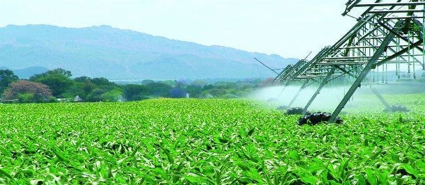 Mercado de fertilizantes segue aquecido