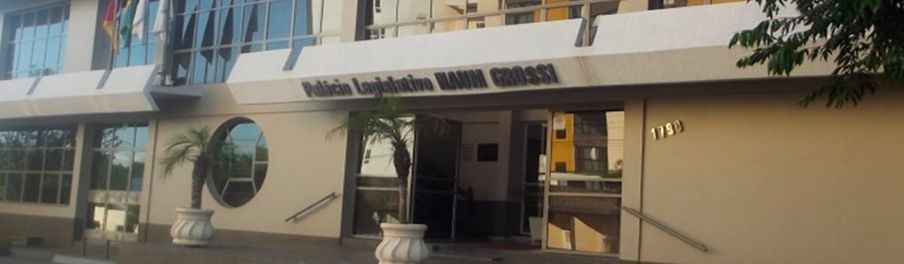 Câmara de Sarandi cria frente parlamentar da microempresa