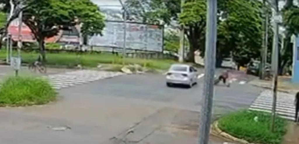 Ciclista avança sinal e provoca acidente na Avenida Colombo, em Maringá; vídeo