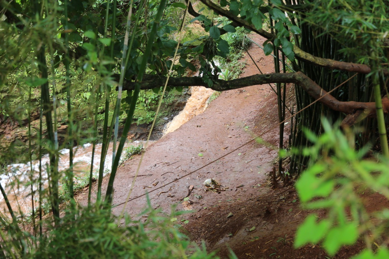 Quatro jovens que invadiram Bosque II para nadar podem estar com leptospirose