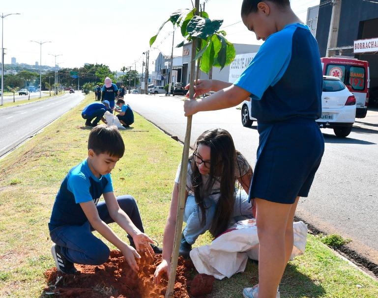 Projeto prevê o plantio de uma árvore a cada criança nascida em Umuarama