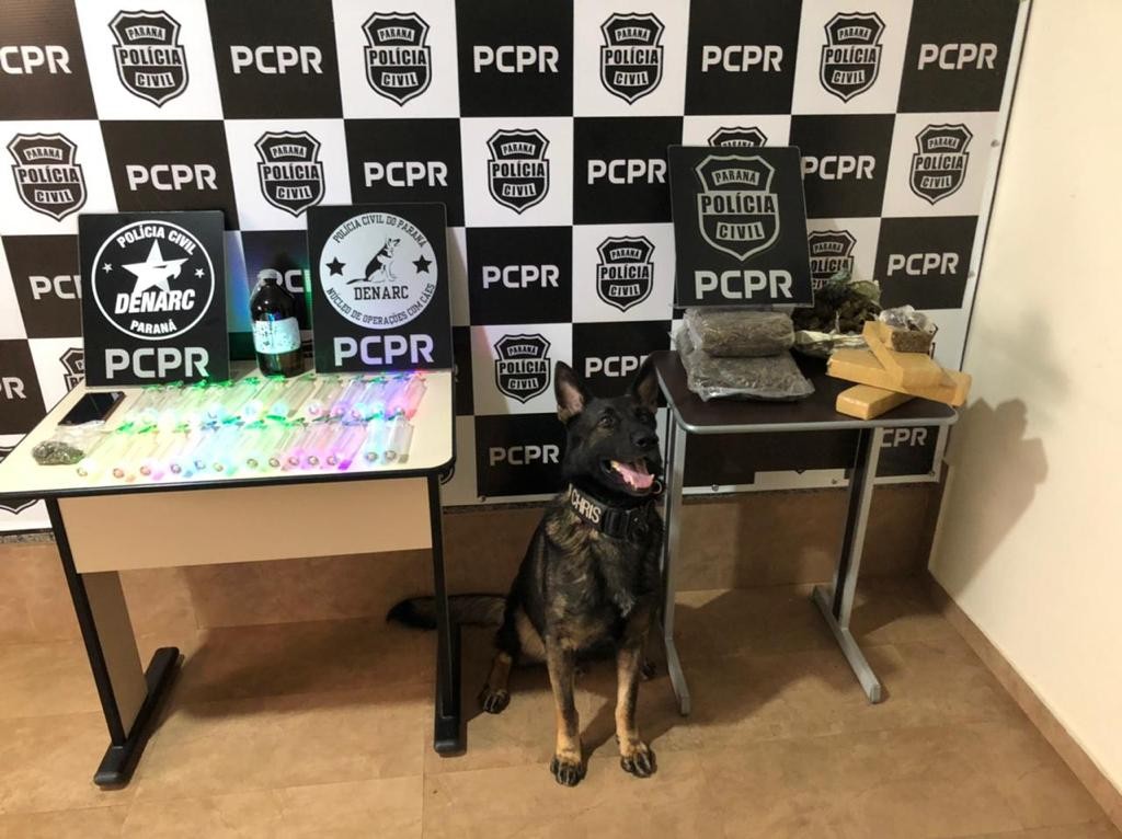 Denarc de Maringá faz balanço de apreensões em 2021