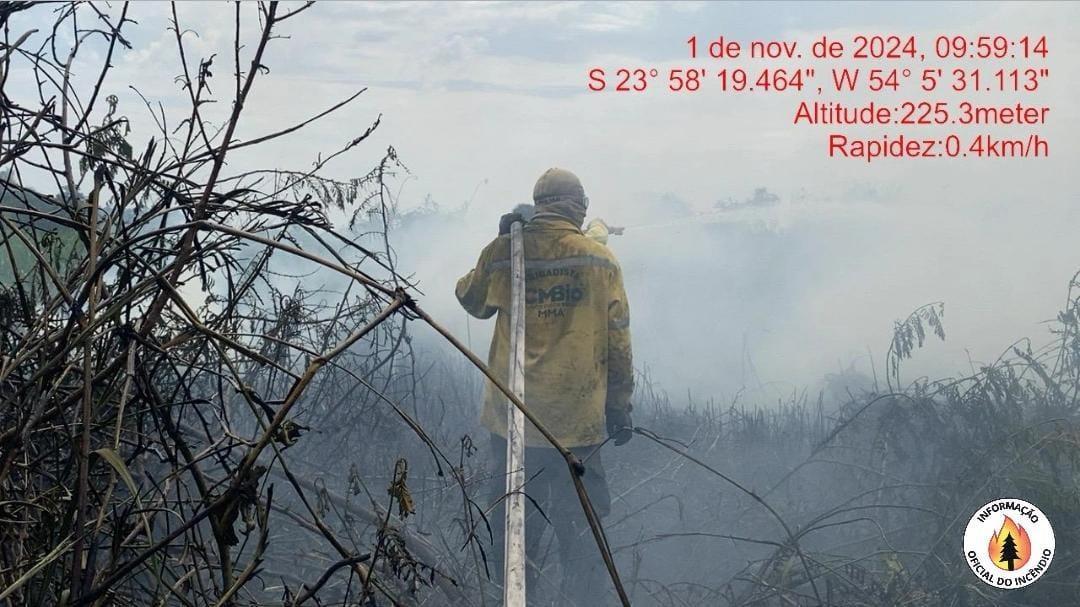 Mais de mil hectares são destruídos pelo fogo em Ilha Grande