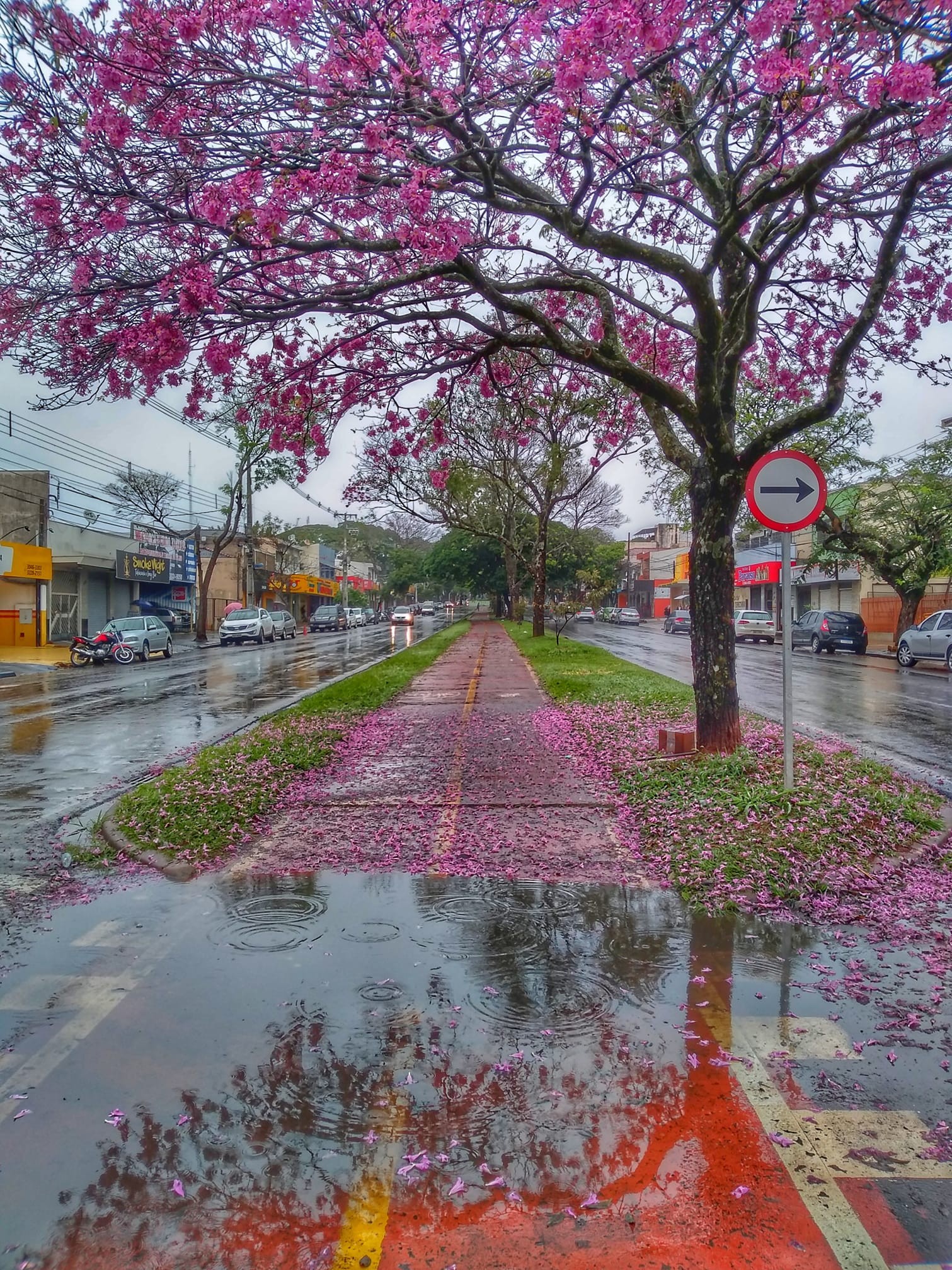 Frente fria traz chuva e frio de volta ao Paraná nos próximos dias, diz Simepar