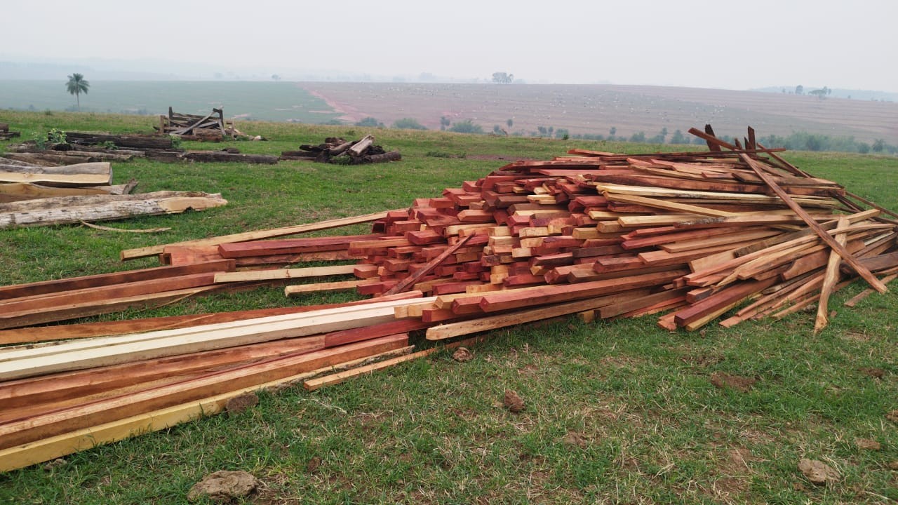 Polícia Ambiental flagra extração de madeira ilegal em Maria Helena