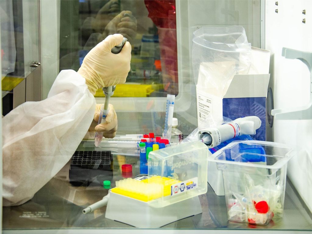 Covid-19: Maringá registra 210 novos casos e 2 óbitos; veja detalhes do boletim