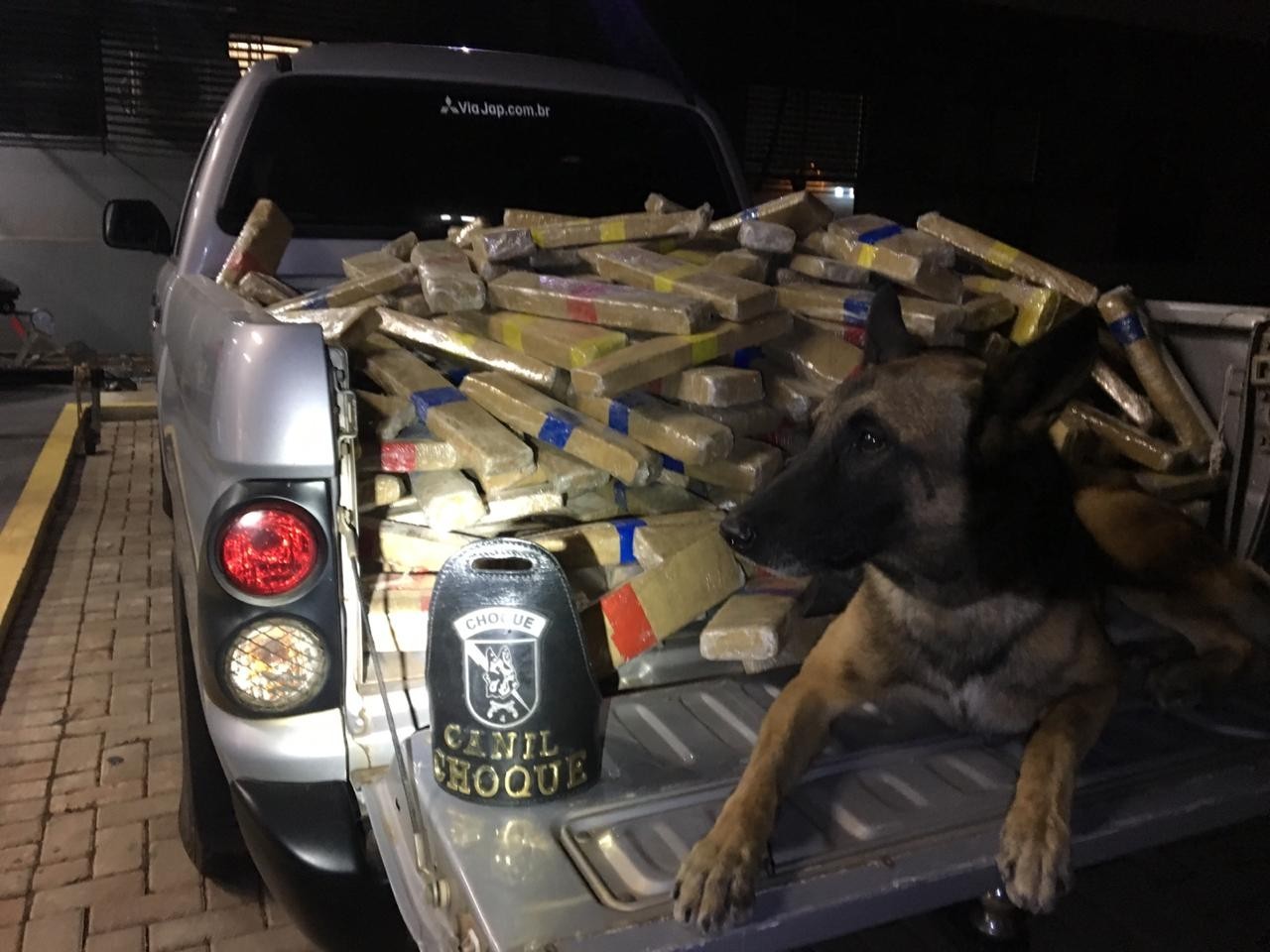 Caminhoneiro é preso transportando 600 quilos de maconha