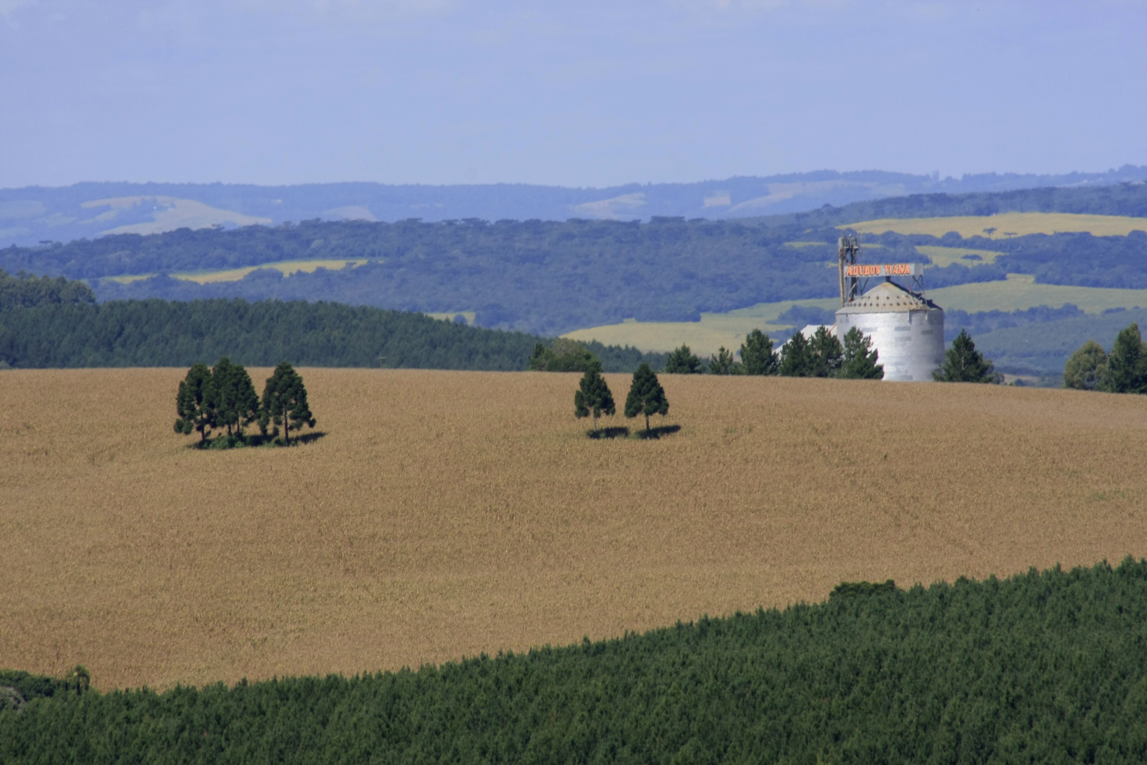 Preservação nativa em áreas rurais representa 25,6% do território nacional