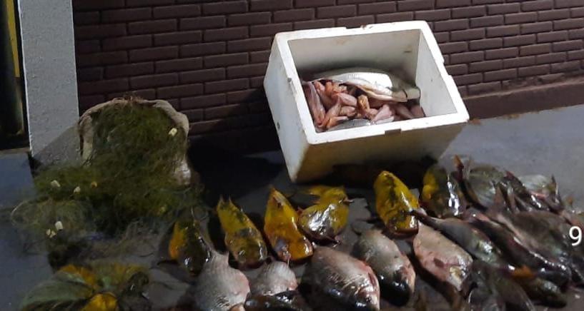 Operação flagra pesca irregular e apreende mais de 100 kg de peixes