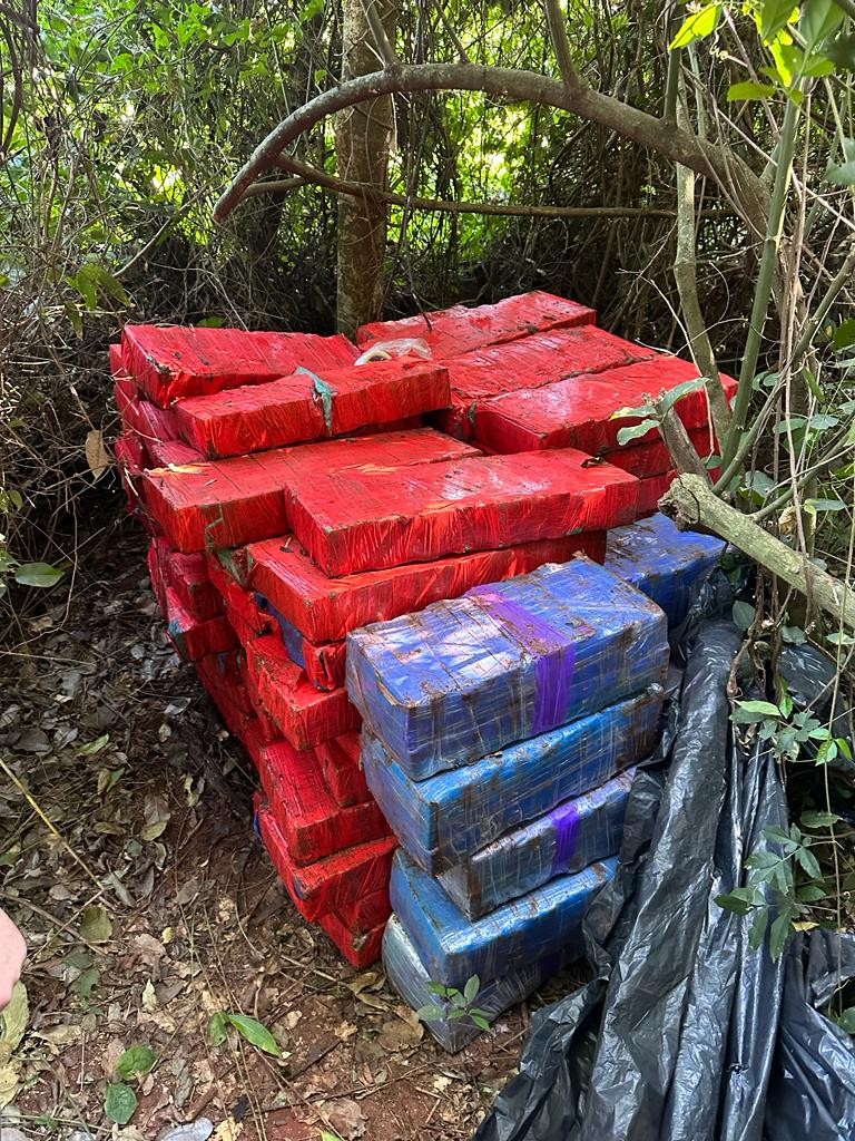 Polícia Civil apreende mais de uma tonelada de maconha em área de mata