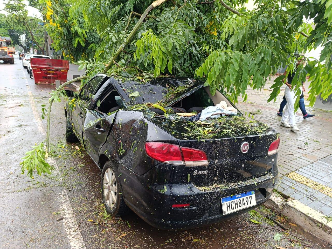 Chuva provoca queda de árvores e alagamentos em Maringá