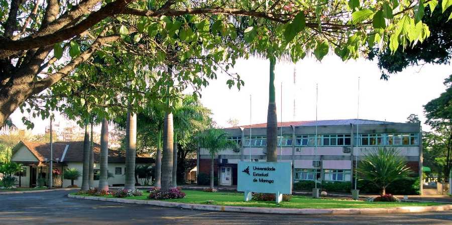 Sem aulas presenciais, UEM terá projetos de extensão online