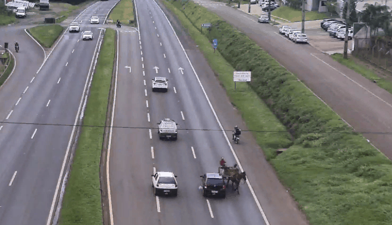 Carroça causa acidente ao trafegar na contramão; veja o vídeo