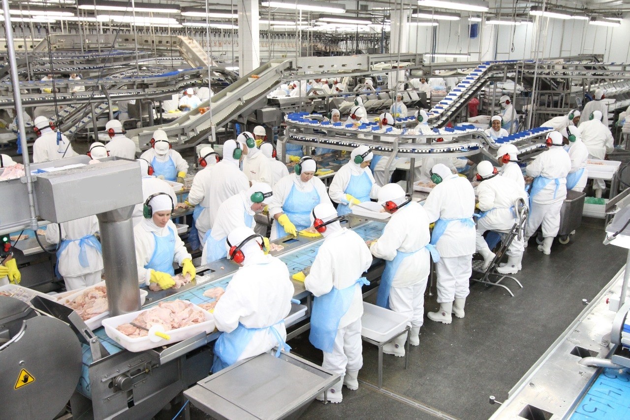 Cooperativa de alimentos em Mandaguari paralisa atividades