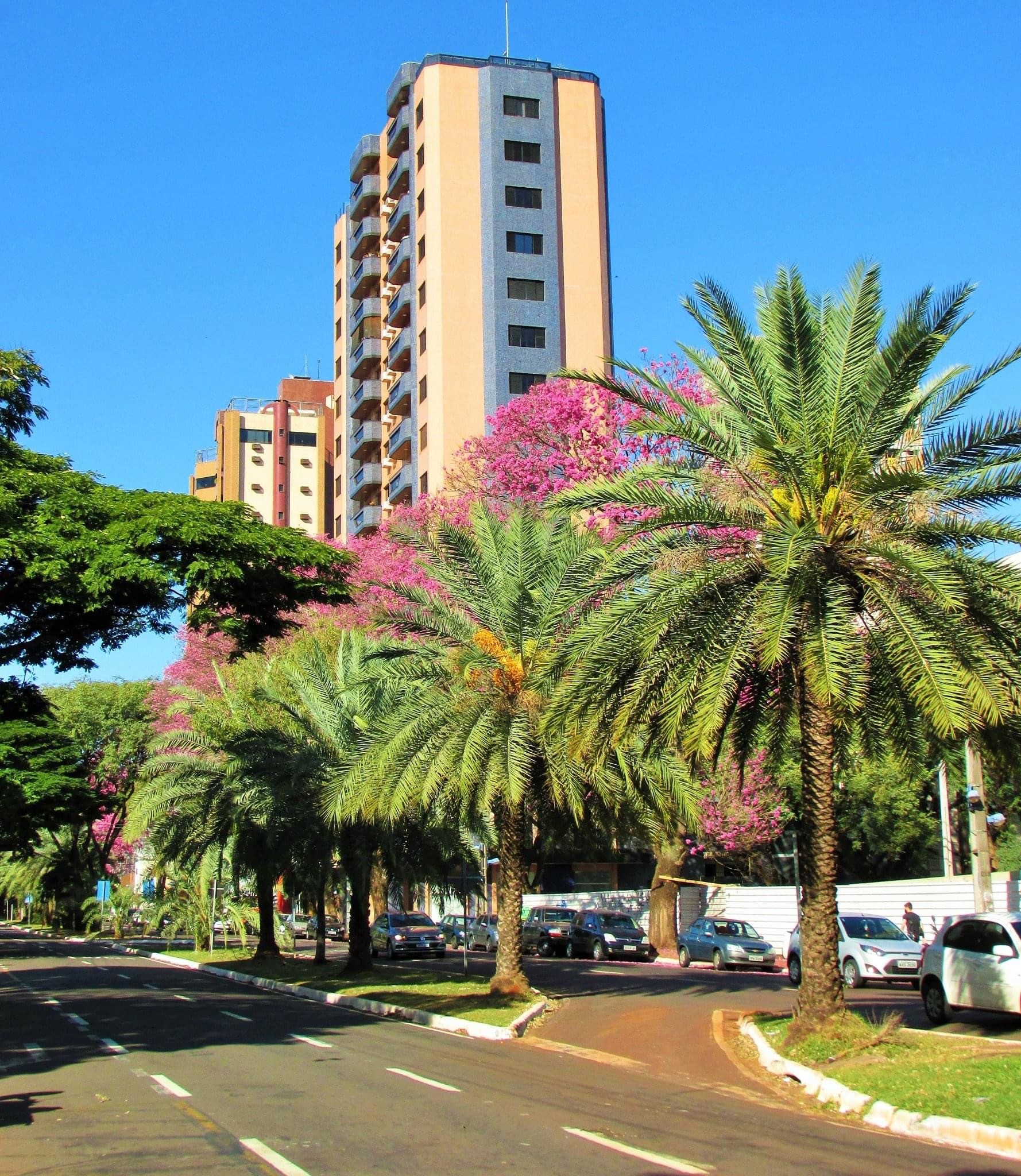 Quinta-feira ensolarada e quente em Maringá; máxima é de 28°C
