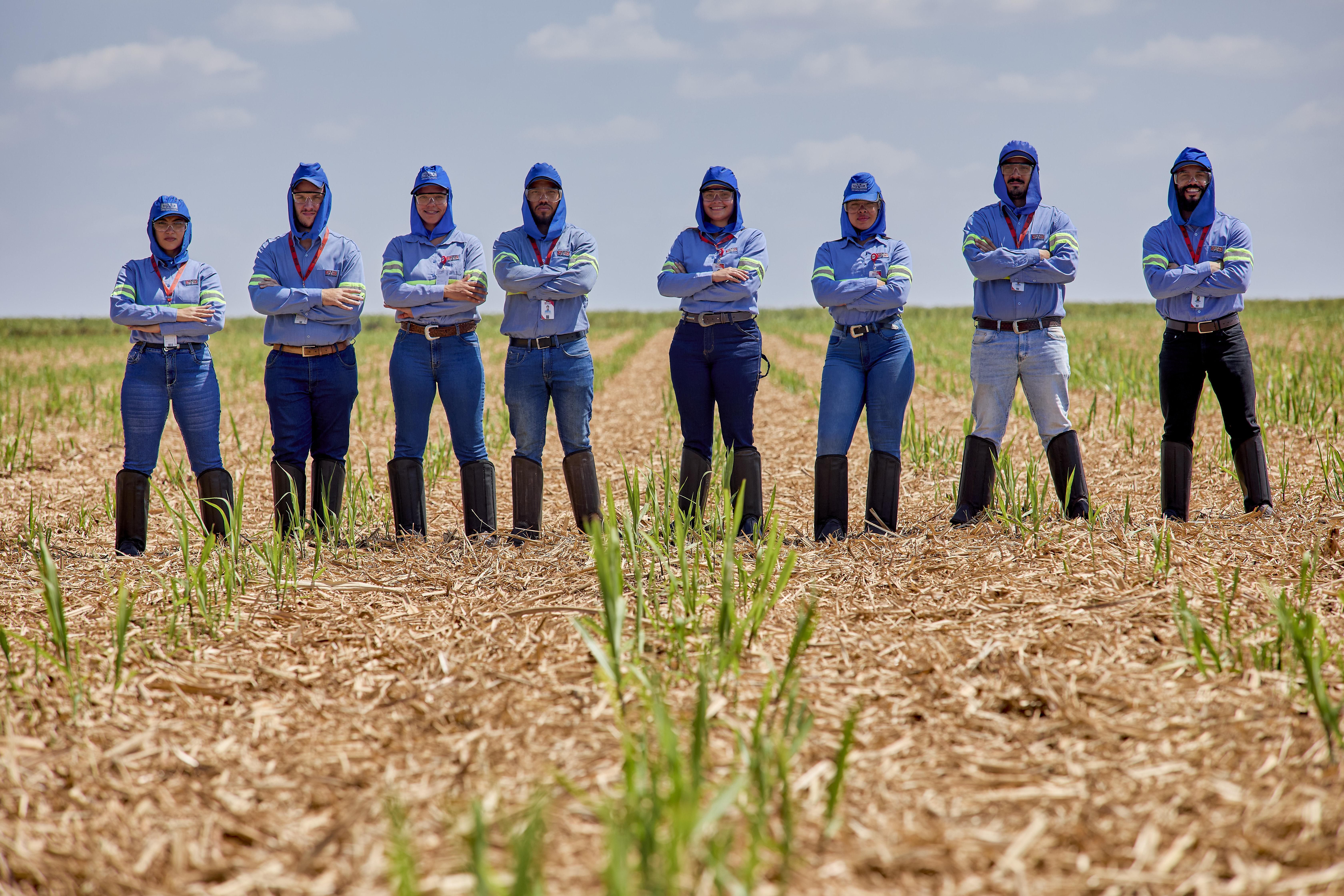 Usina Santa Terezinha abre inscrições para o Programa de Residência Agronômica 2026