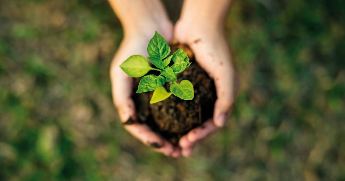 Financiamento da sustentabilidade será assunto de workshop em Curitiba