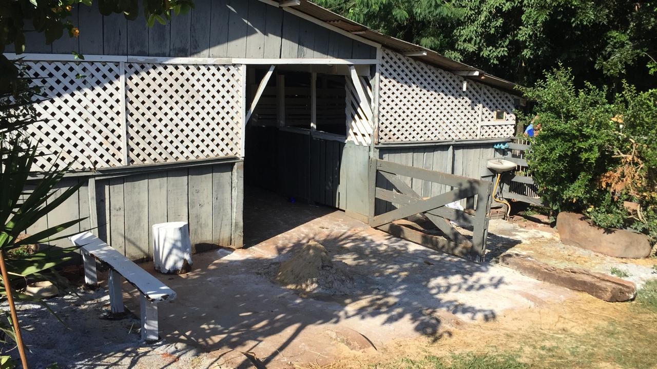 Cavalos criados em fundo de vale são retirados