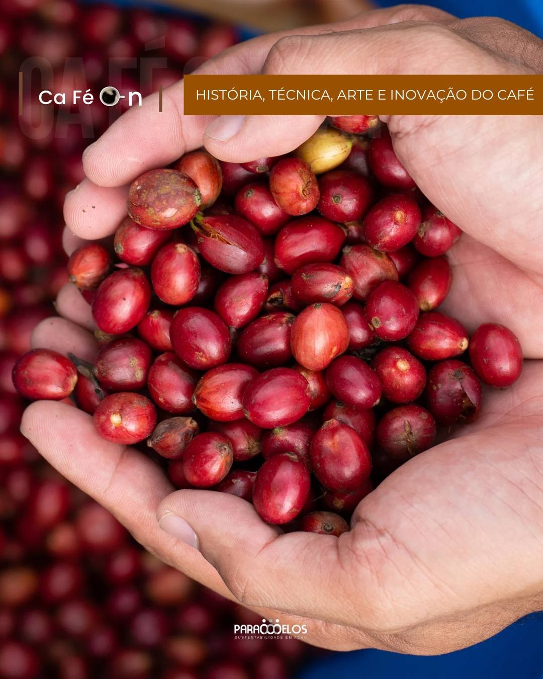 Turismo rural e de experiência movimentam região