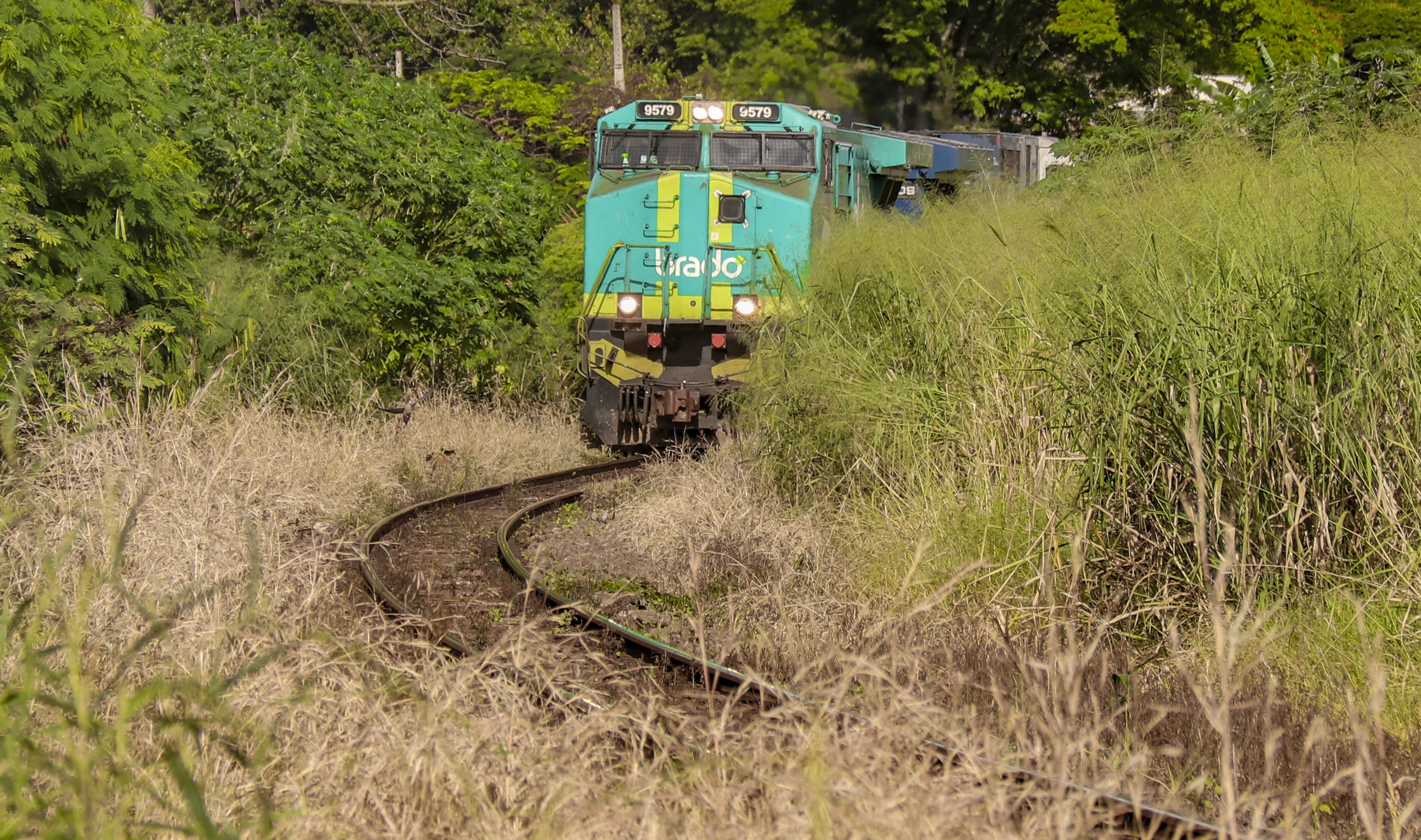MP abre procedimento contra Rumo por falta de roçada em Sarandi