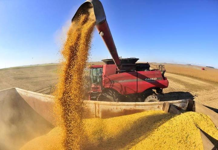 Quebra da safra argentina melhora cotação da soja brasileira