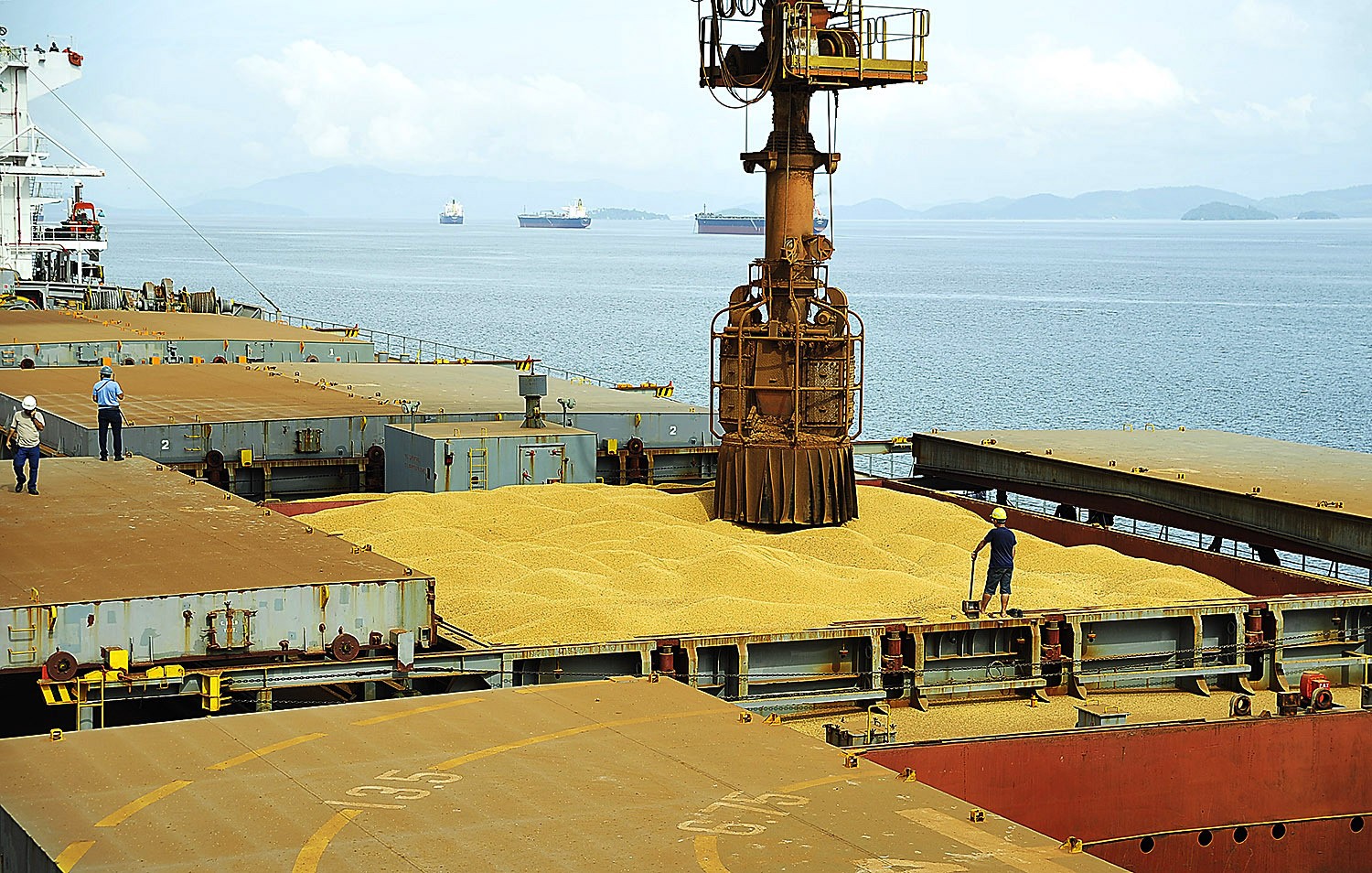 Guerra comercial entre China e Estados Unidos pode beneficiar exportação de soja no Brasil