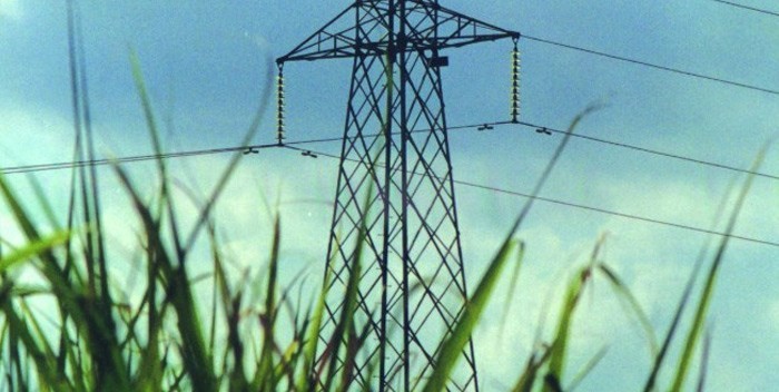 Bioeletricidade é a terceira fonte mais importante no Brasil