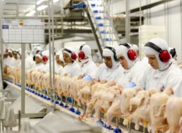 Macedônia do Norte quer aumentar a importação de frangos do Paraná