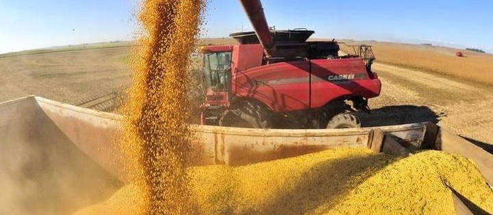 Rússia suspende participação no acordo de grãos