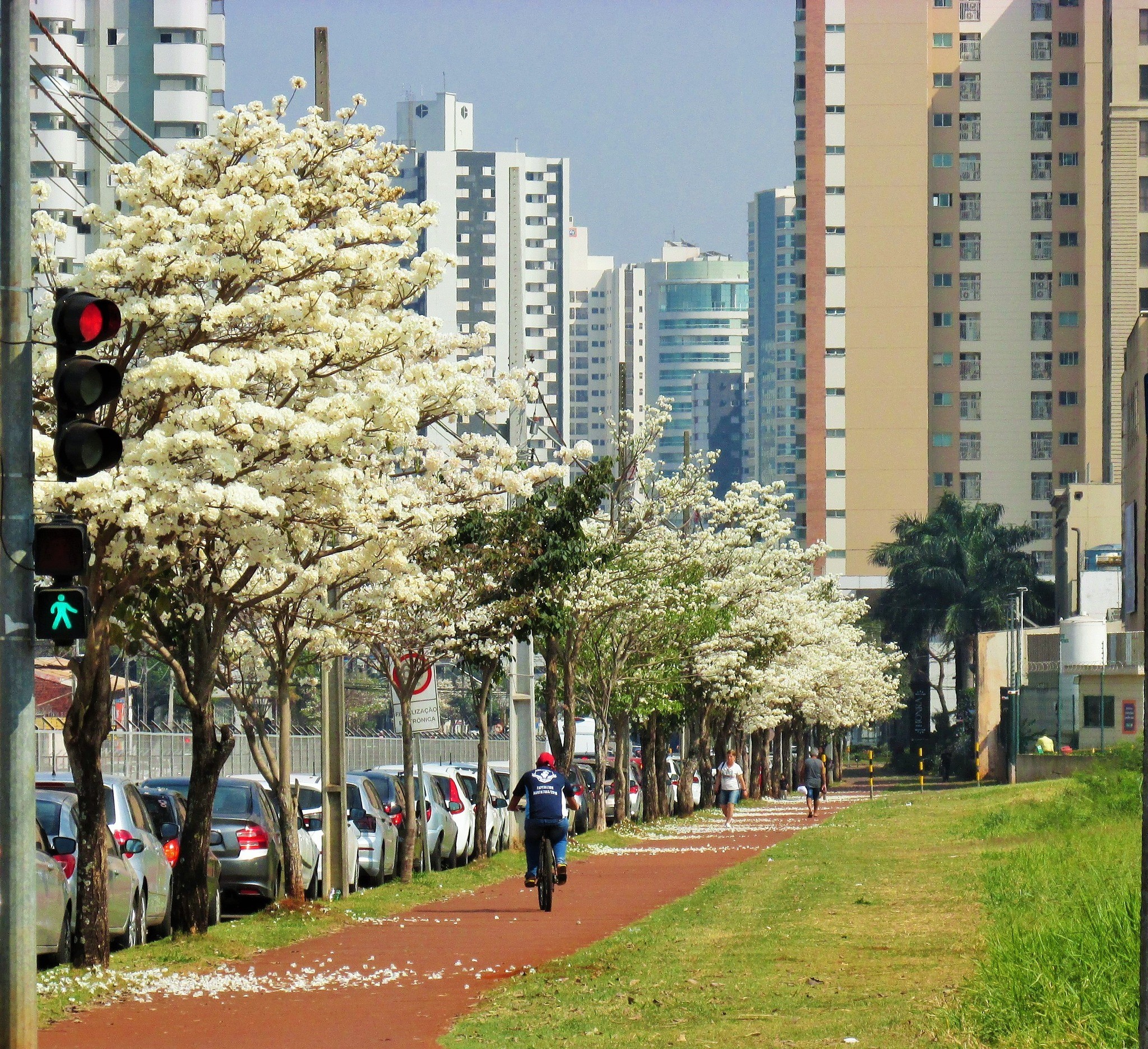 Quarta-feira (4) terá tempo quente e seco em Maringá; veja previsão