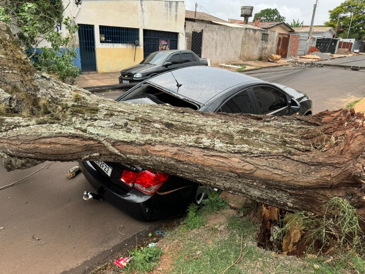 Árvore de grande porte cai sobre carro