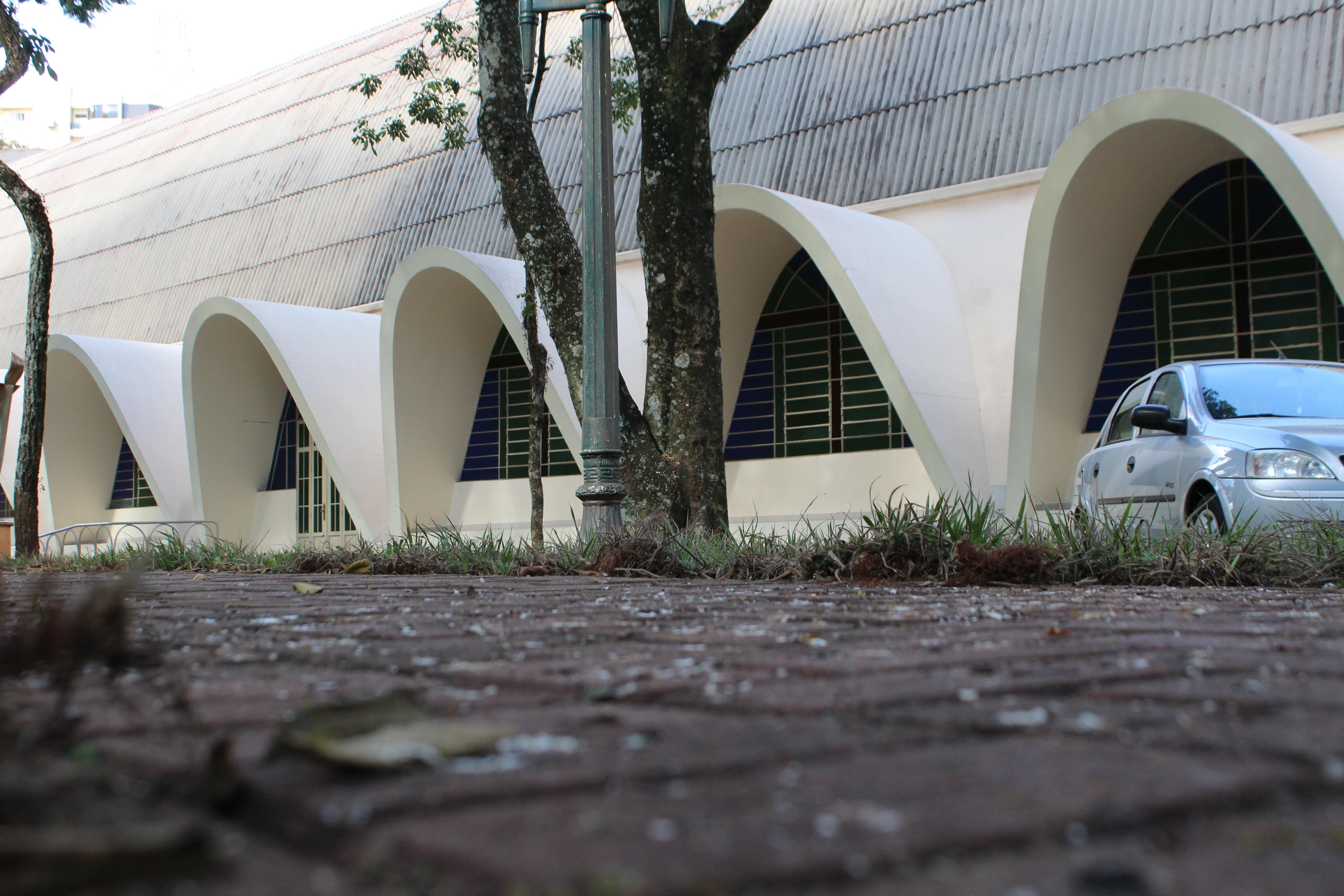 Pombos impedem igreja de fazer procissões externas em Cianorte
