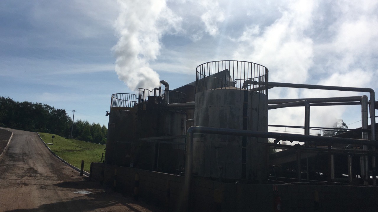 Prefeitura multa abatedouro em R$ 50 mil por dia devido ao mau cheiro