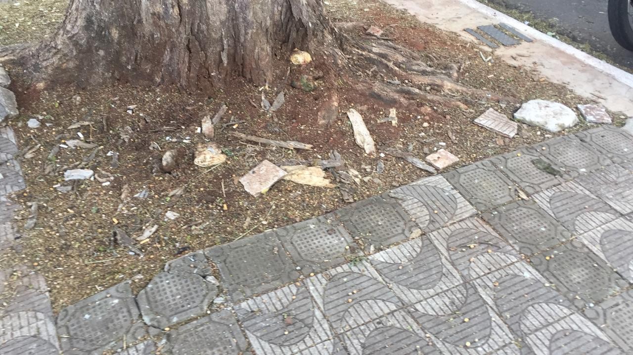 Fiscalização emitiu 1391 notificações por irregularidades este ano