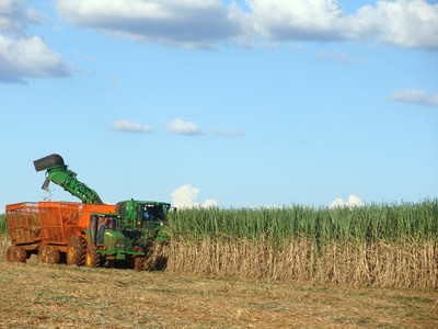 No Paraná, projeto prevê colheita mecanizada de cana-de-açúcar