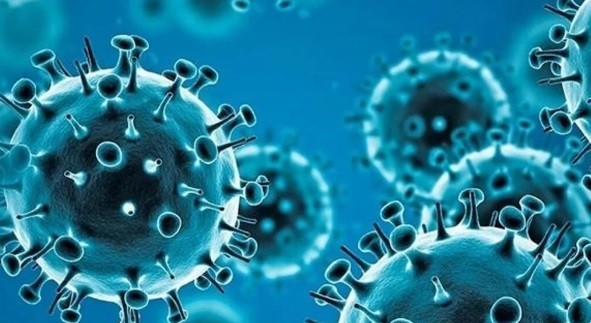 Confira os dados atualizados da Covid-19 nesta terça-feira (4)